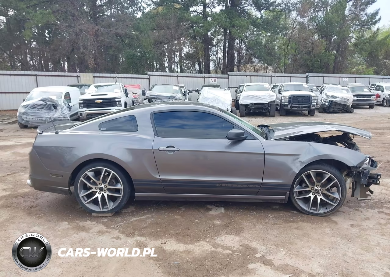 2013 Ford Mustang V6 VIN:1ZVBP8AM9D5277403 - 14