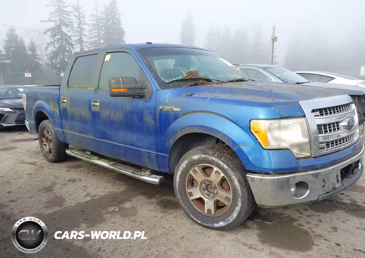2013 Ford F-150 Xlt