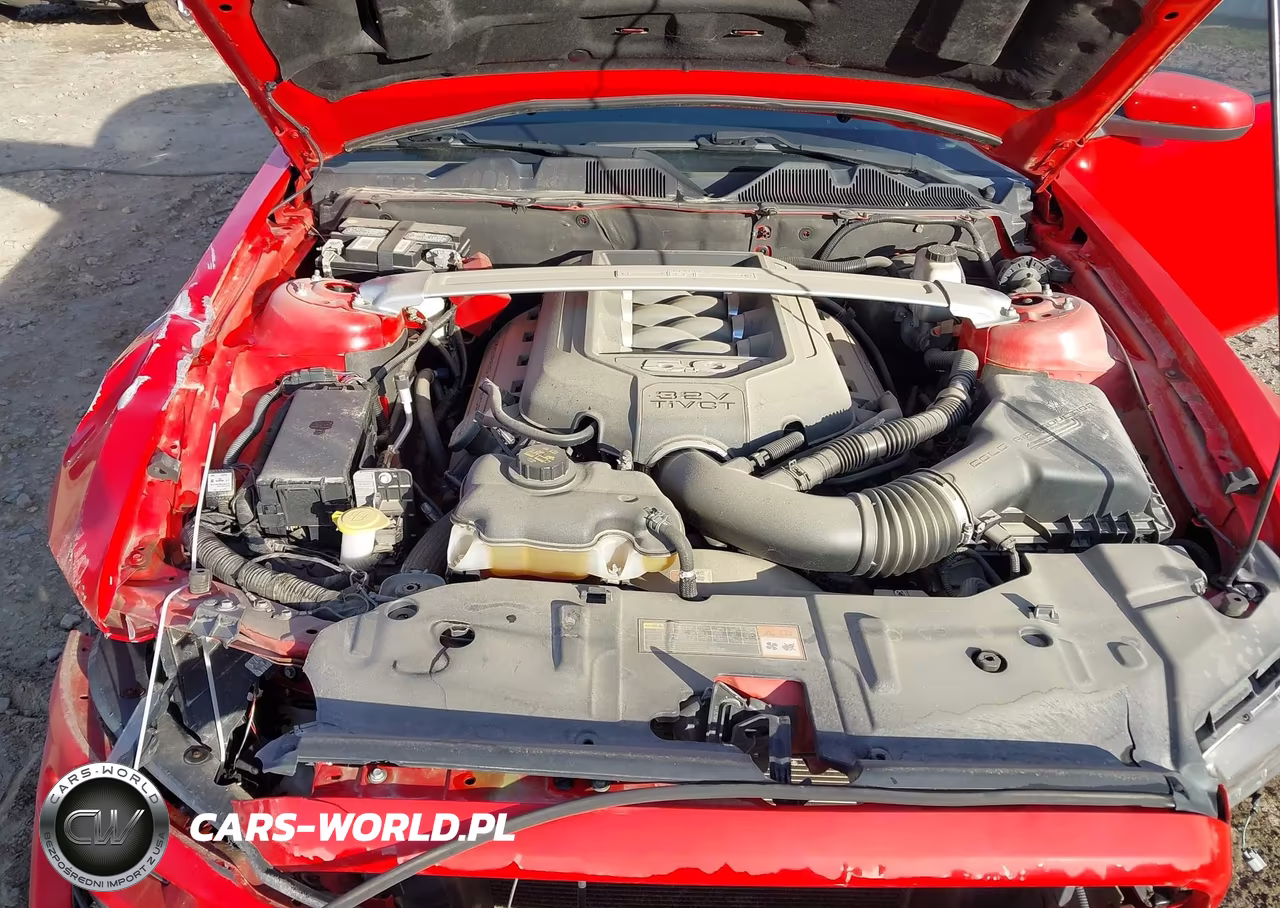 2013 Ford Mustang Gt Premium VIN:1ZVBP8CF3D5277377 - 10