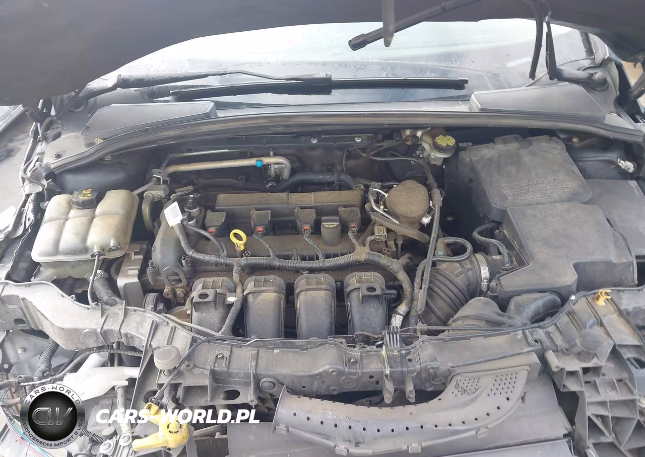 2014 Ford Focus Se VIN:1FADP3F27EL447900 - 10