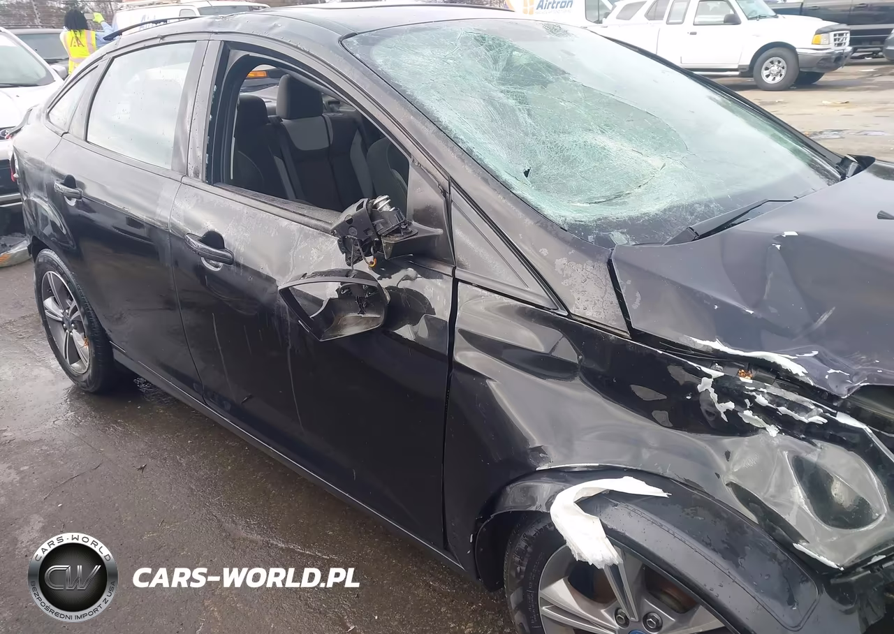 2014 Ford Focus Se VIN:1FADP3F27EL447900 - 12