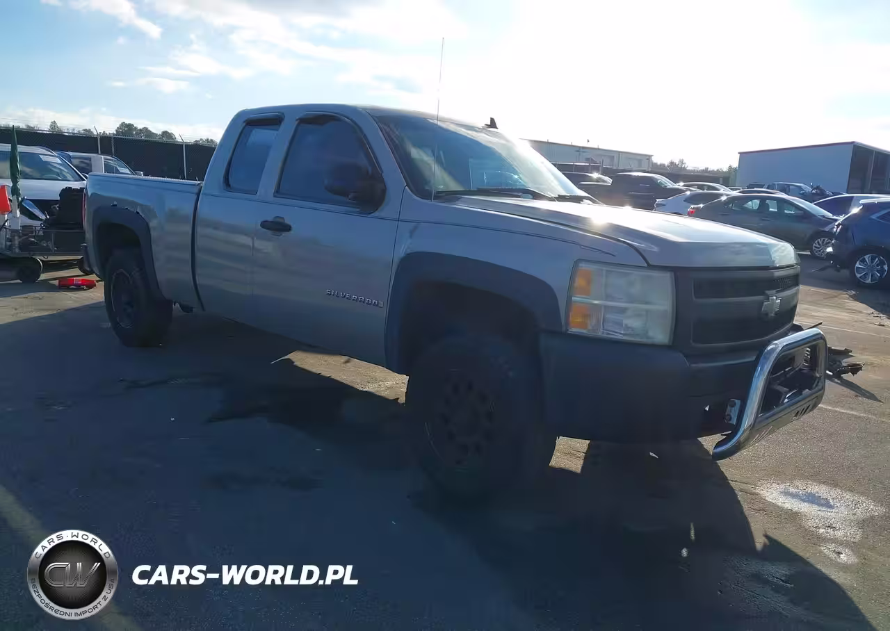 2009 Chevrolet Silverado 1500 Work Truck
