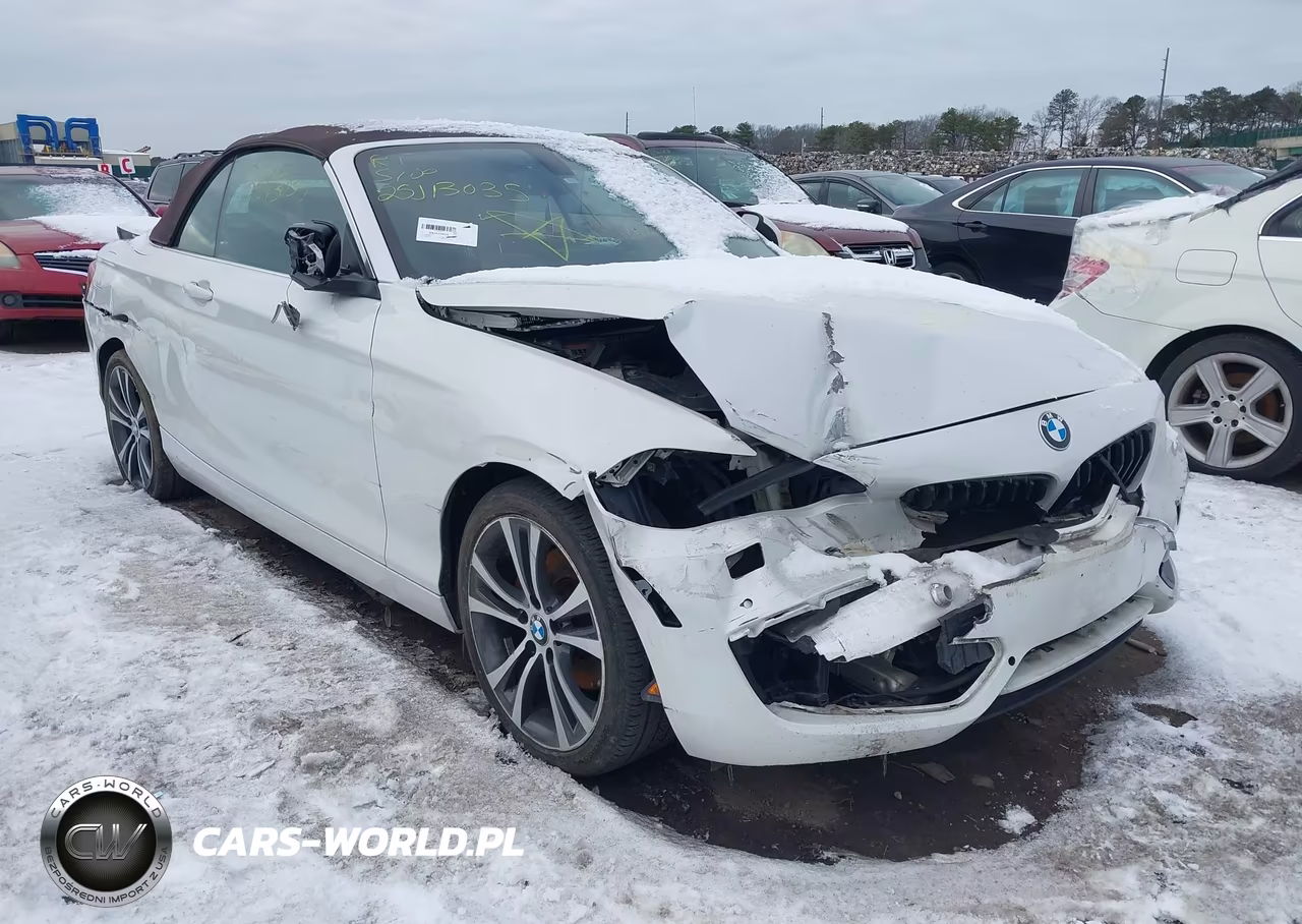 2017 BMW 230I xDrive