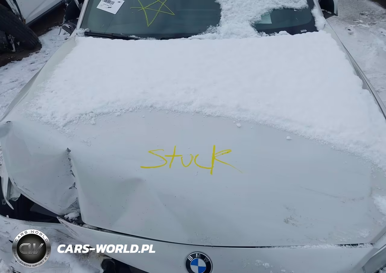 2017 BMW 230I xDrive VIN:WBA2M9C3XH7A47644 - 10