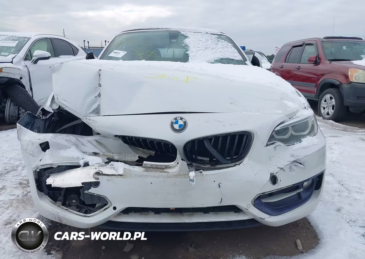 2017 BMW 230I xDrive VIN:WBA2M9C3XH7A47644 - 11