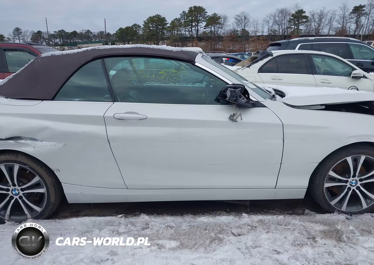 2017 BMW 230I xDrive VIN:WBA2M9C3XH7A47644 - 12