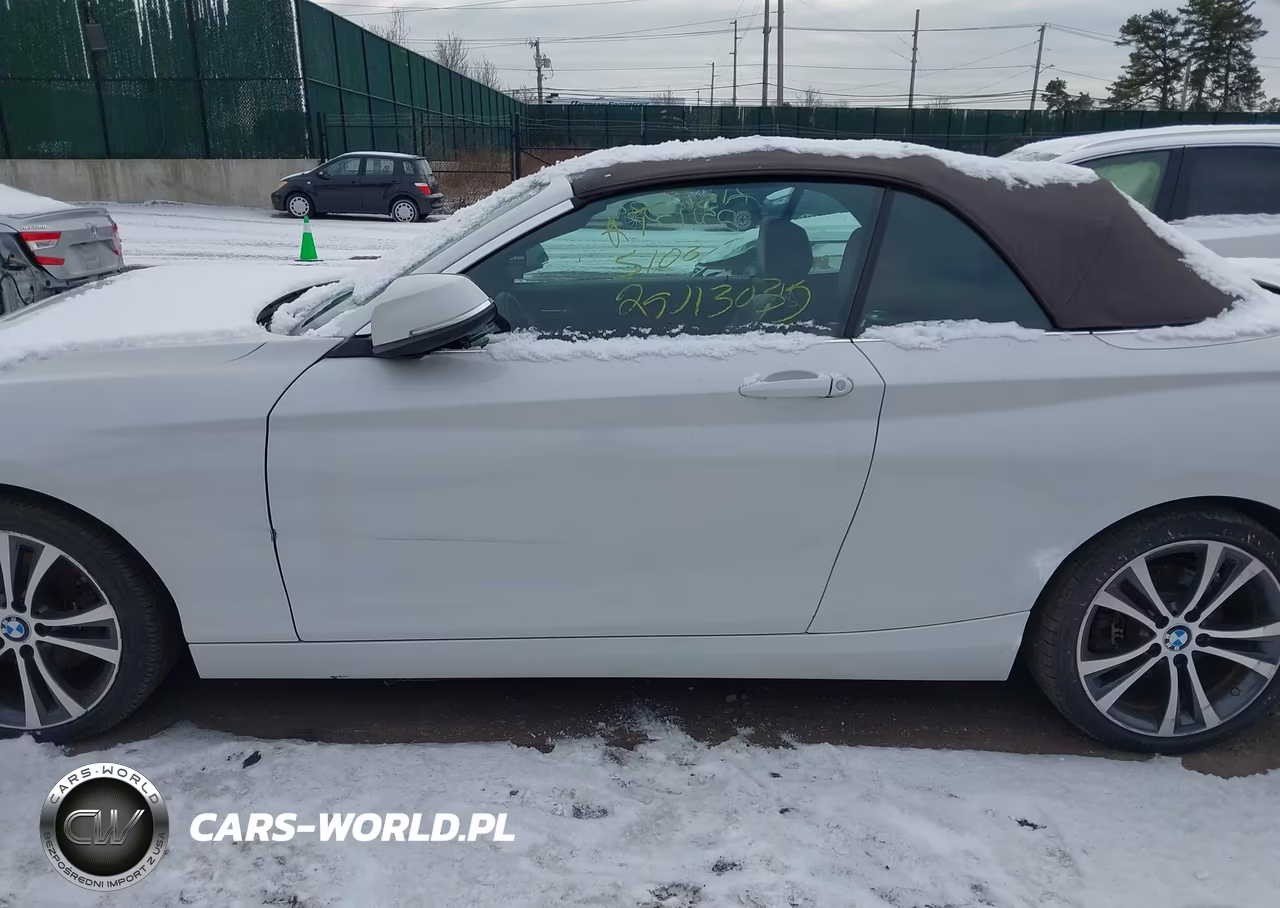 2017 BMW 230I xDrive VIN:WBA2M9C3XH7A47644 - 13