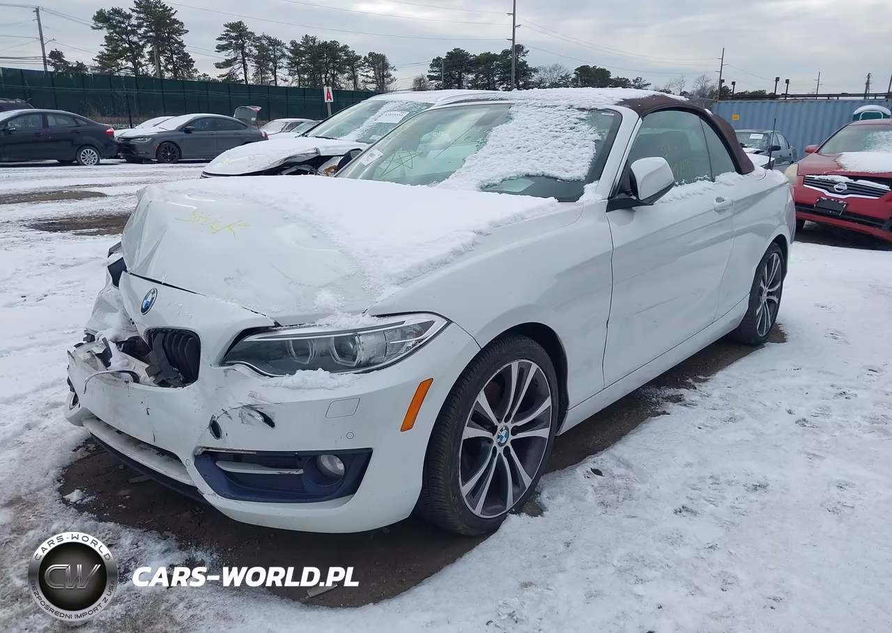 2017 BMW 230I xDrive VIN:WBA2M9C3XH7A47644 - 2
