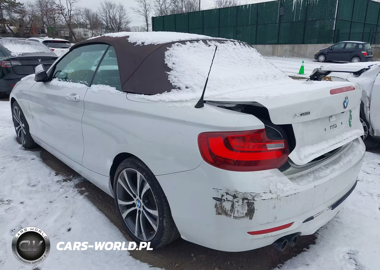 2017 BMW 230I xDrive VIN:WBA2M9C3XH7A47644 - 3
