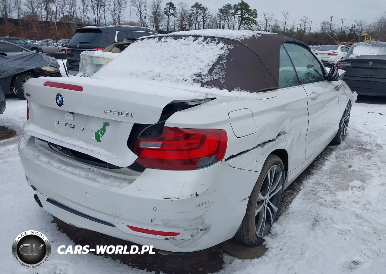 2017 BMW 230I xDrive VIN:WBA2M9C3XH7A47644 - 4