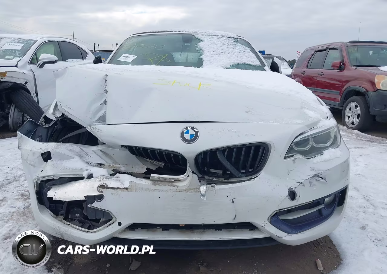 2017 BMW 230I xDrive VIN:WBA2M9C3XH7A47644 - 6