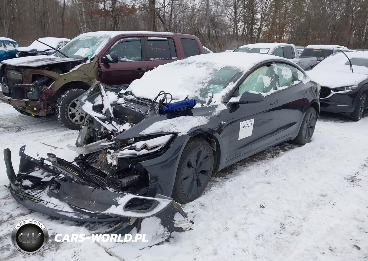 2024 Tesla Model 3 Rear-Wheel Drive VIN:5YJ3E1EA0RF820499 - 2