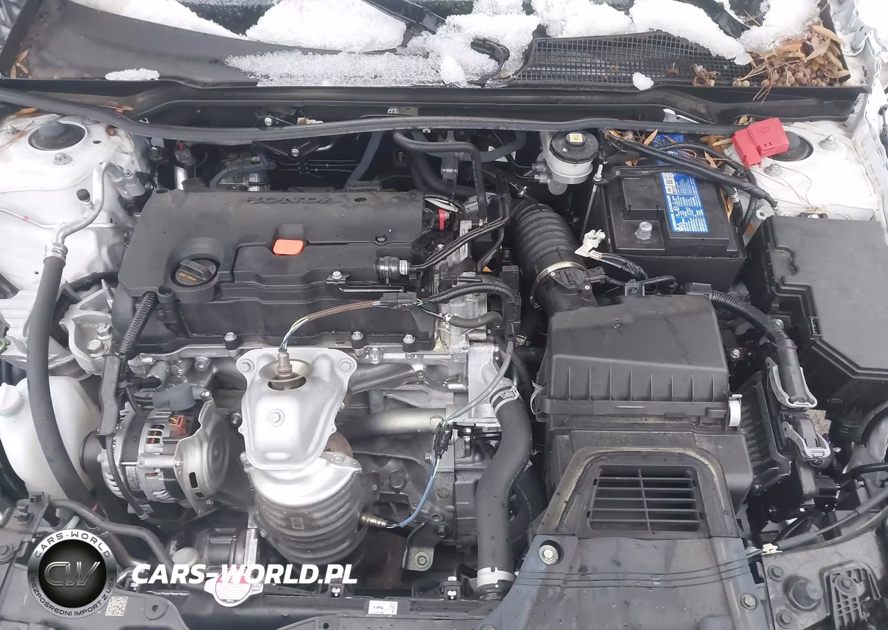 2024 Honda Civic Sport VIN:2HGFE2F51RH565118 - 10