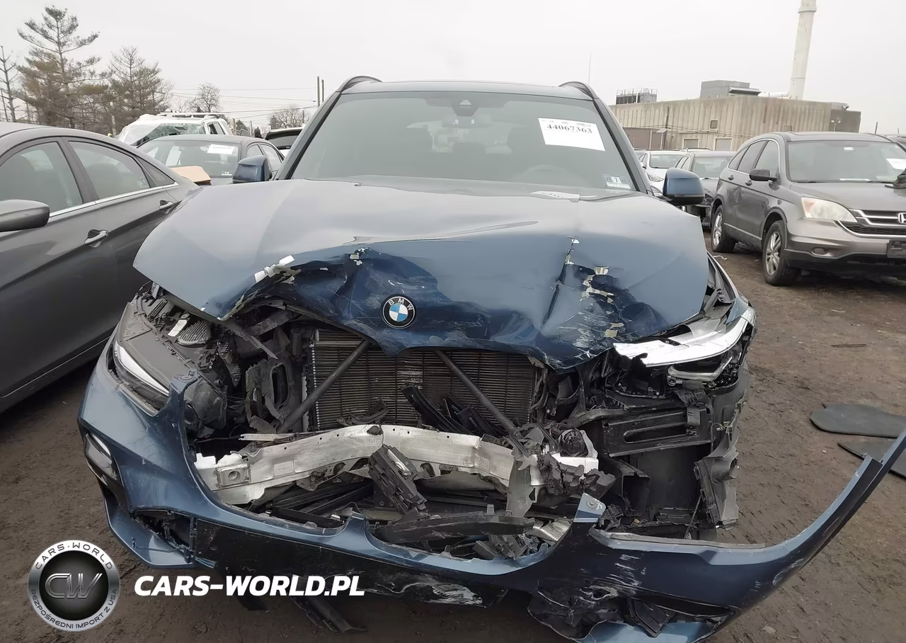 2019 BMW X5 xDrive50I VIN:5UXJU2C54KLN65542 - 12