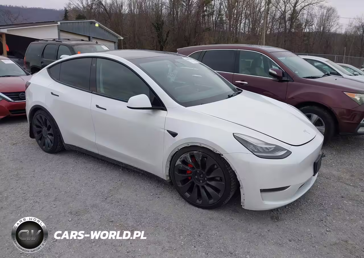 2020 Tesla Model Y Long Range Dual Motor All-Wheel Drive-Performance Dual Motor All-Wheel Drive