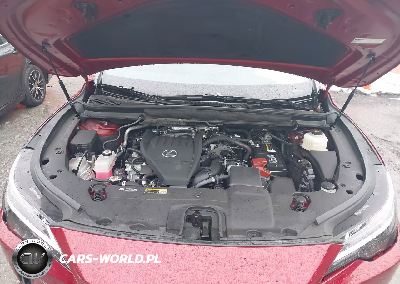 2024 Lexus Rx 350 Premium VIN:2T2BAMCA9RC086859 - 10