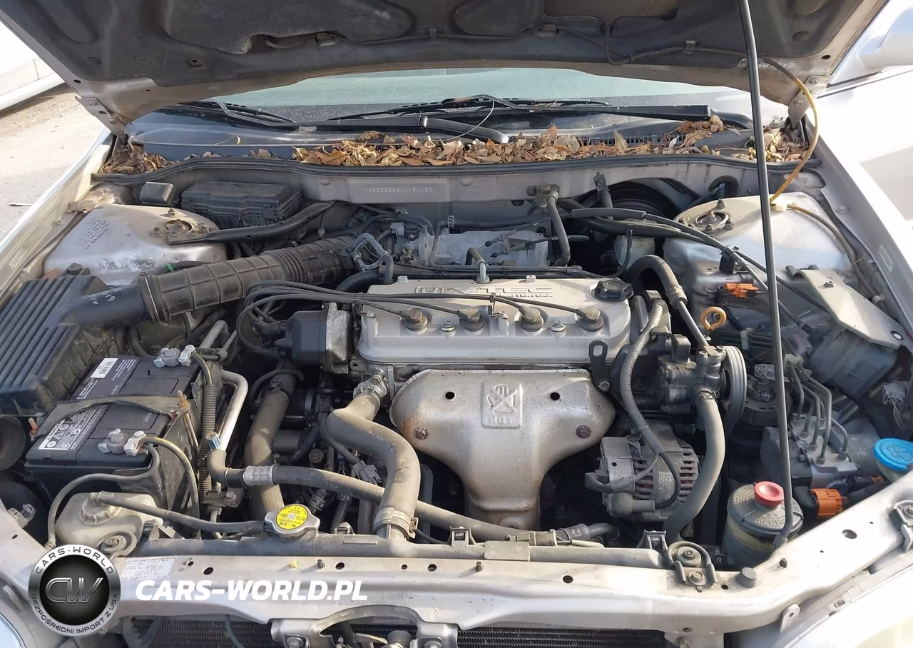 1998 Honda Accord Ex VIN:1HGCG5658WA080483 - 10