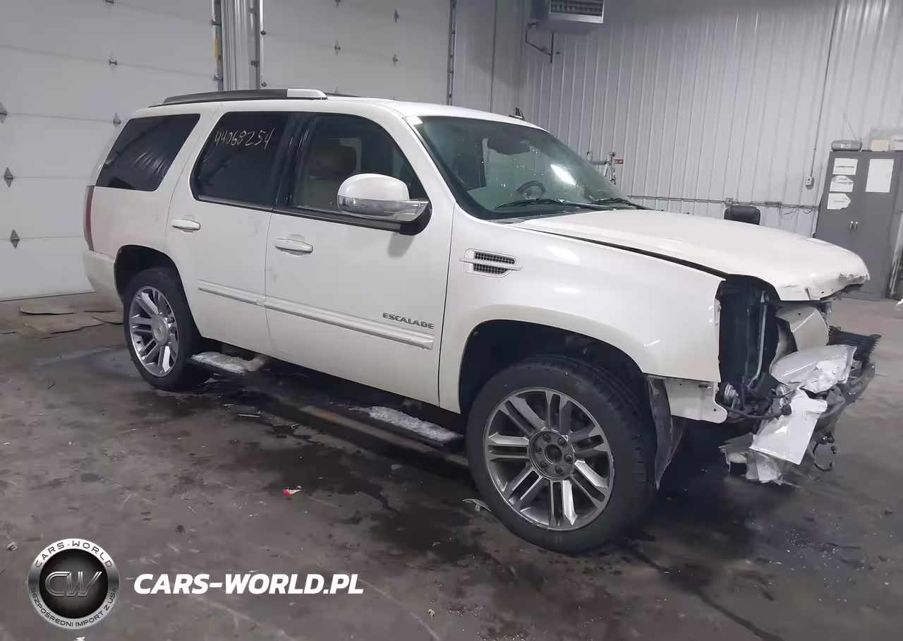 Główne zdjęcie 2014 Cadillac Escalade Premium