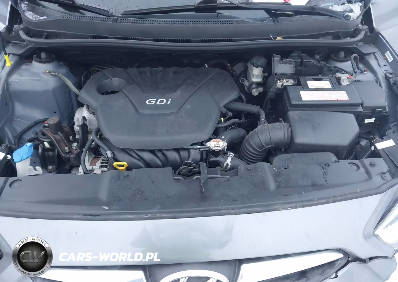 2014 Hyundai Accent Se VIN:KMHCU5AE6EU196028 - 10
