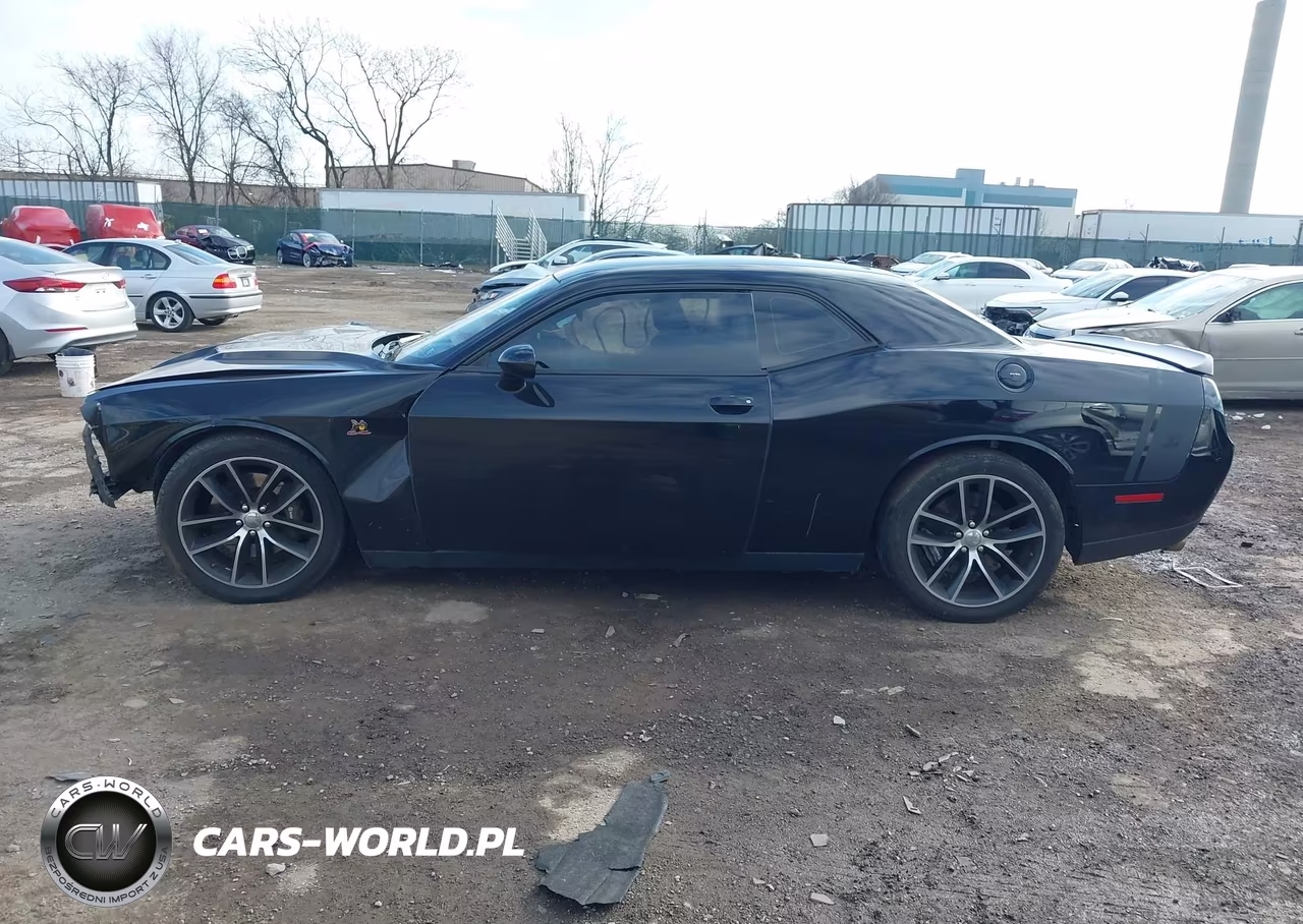 2016 Dodge Challenger R-T Scat Pack VIN:2C3CDZFJ0GH153901 - 14