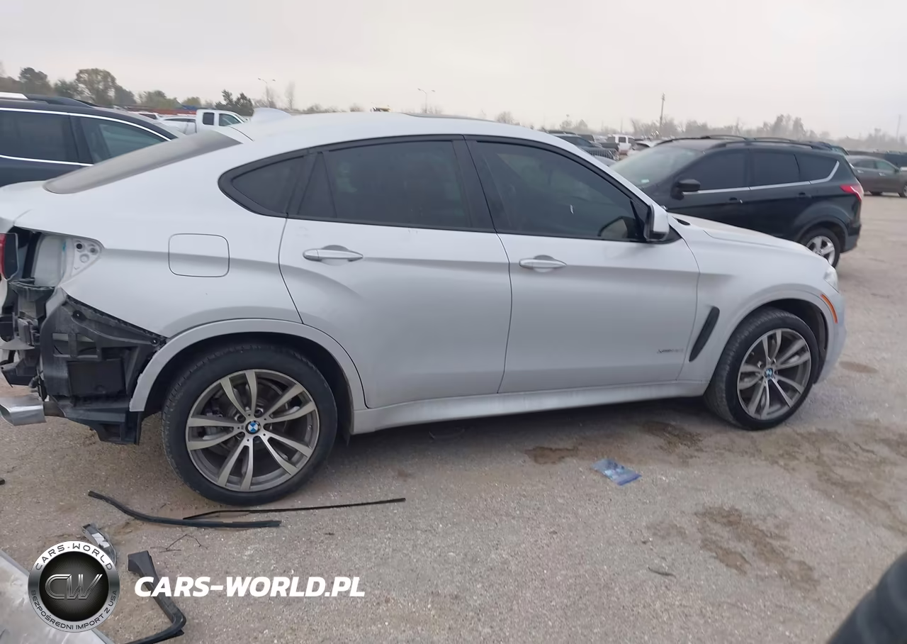 2018 BMW X6 xDrive35I VIN:5UXKU2C56J0Z62450 - 14
