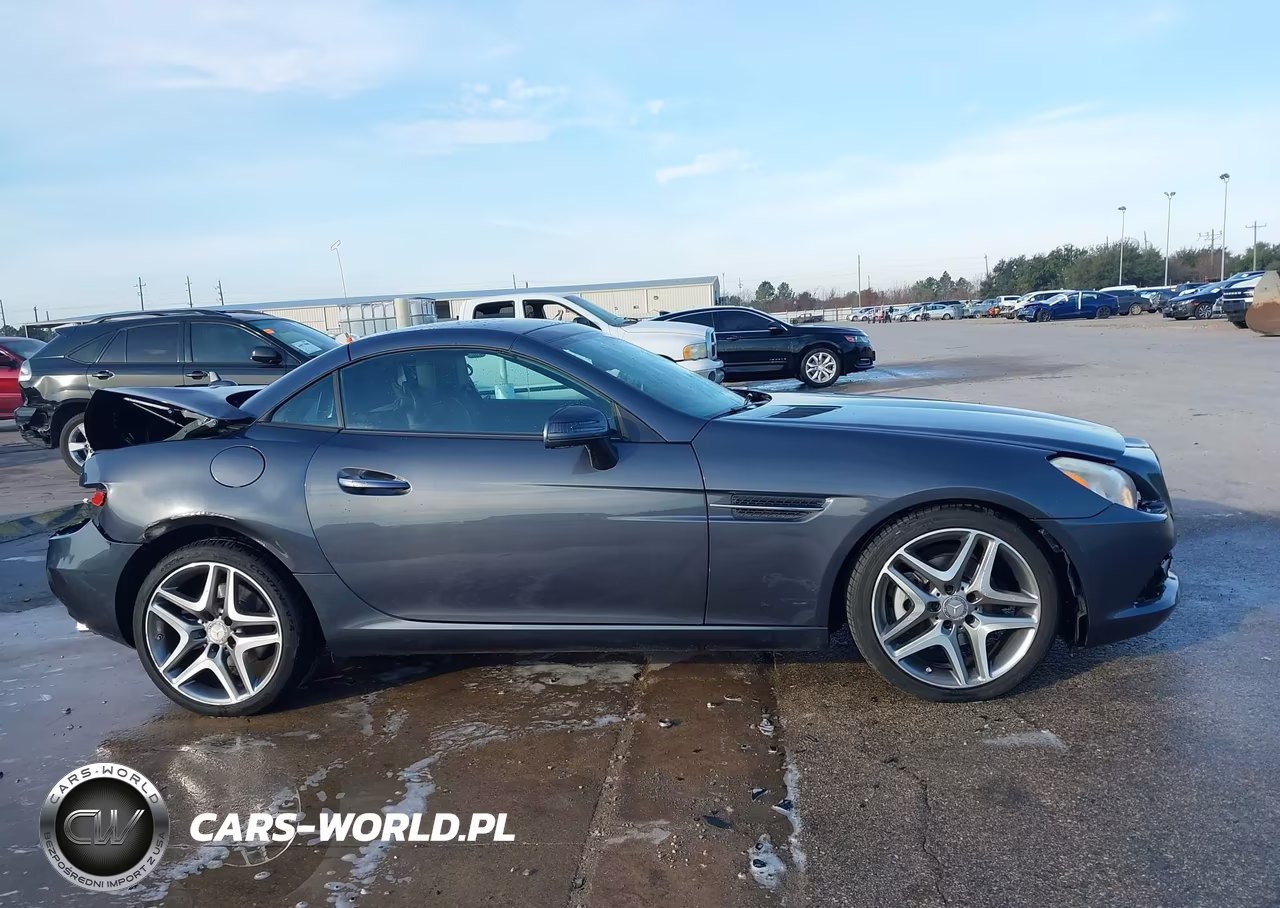 2015 Mercedes-Benz Slk 250 VIN:WDDPK4HA2FF103008 - 14