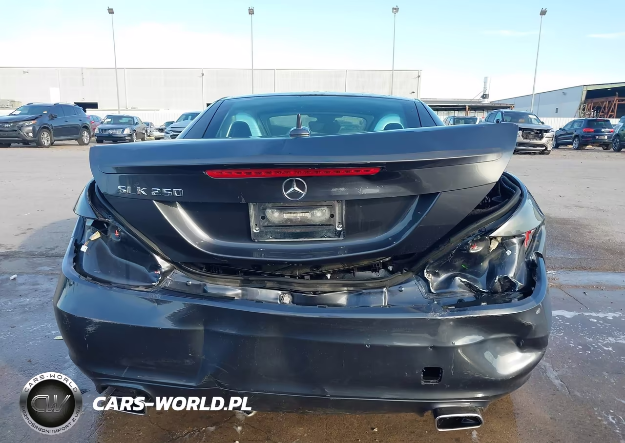 2015 Mercedes-Benz Slk 250 VIN:WDDPK4HA2FF103008 - 17