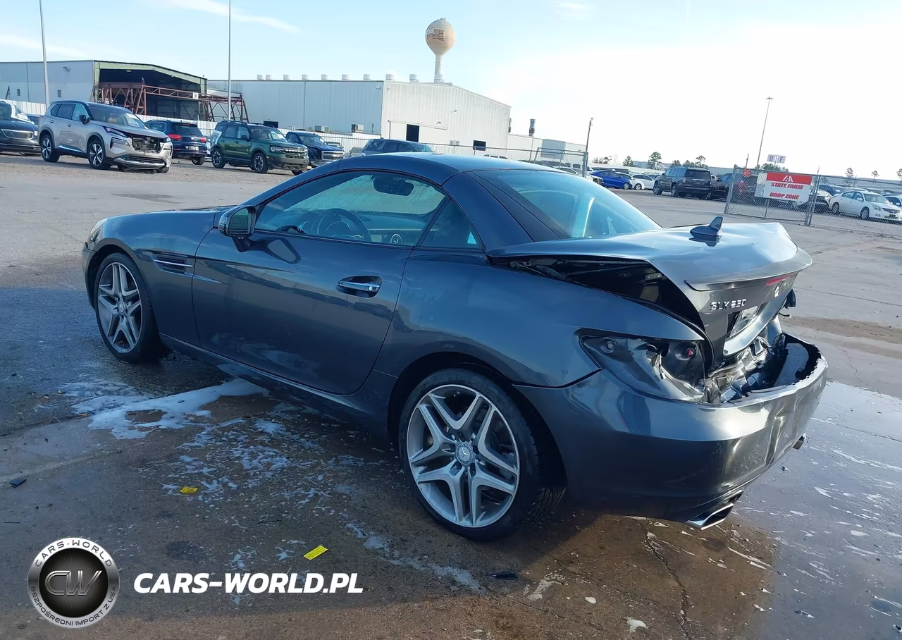 2015 Mercedes-Benz Slk 250 VIN:WDDPK4HA2FF103008 - 3