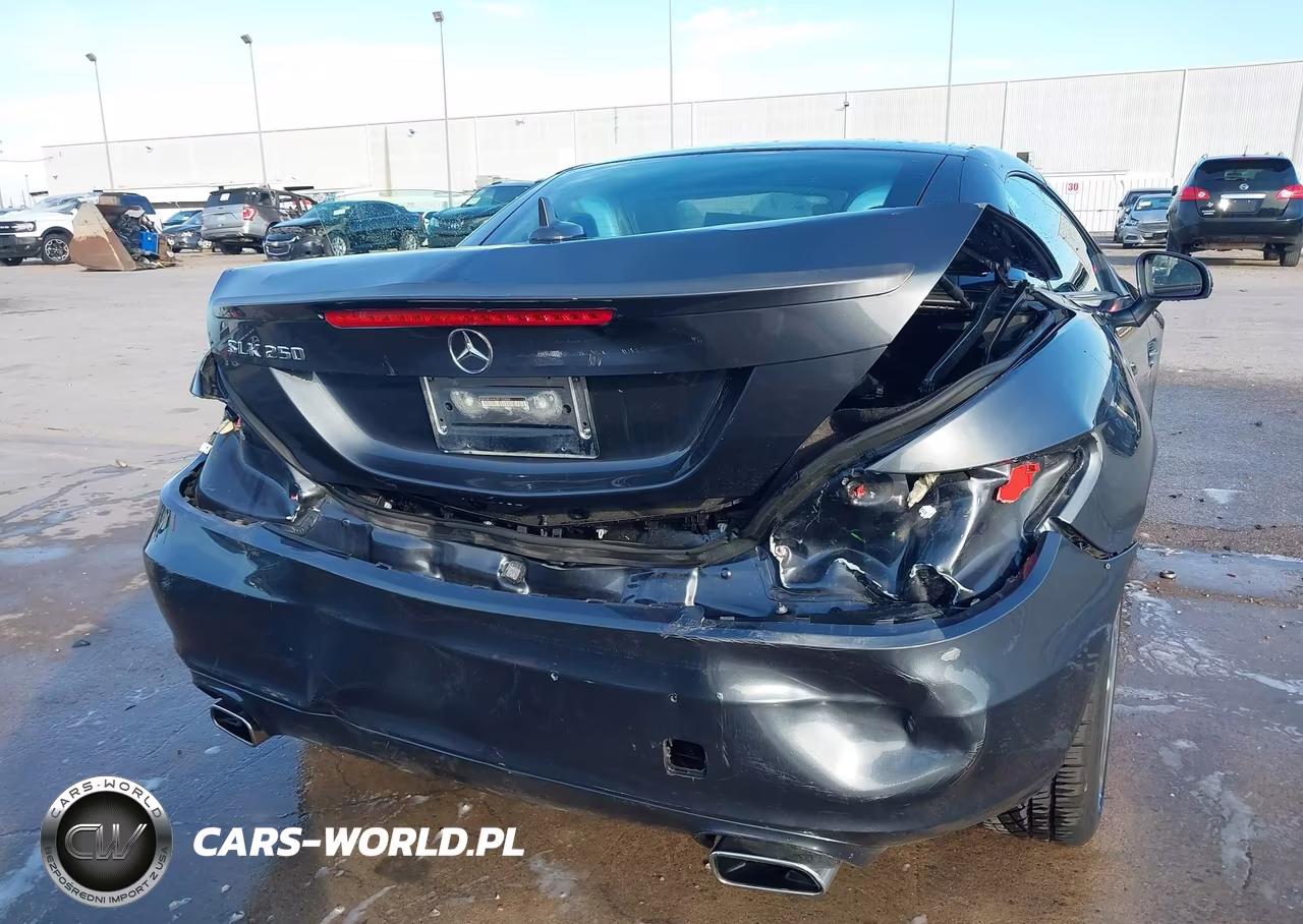 2015 Mercedes-Benz Slk 250 VIN:WDDPK4HA2FF103008 - 6