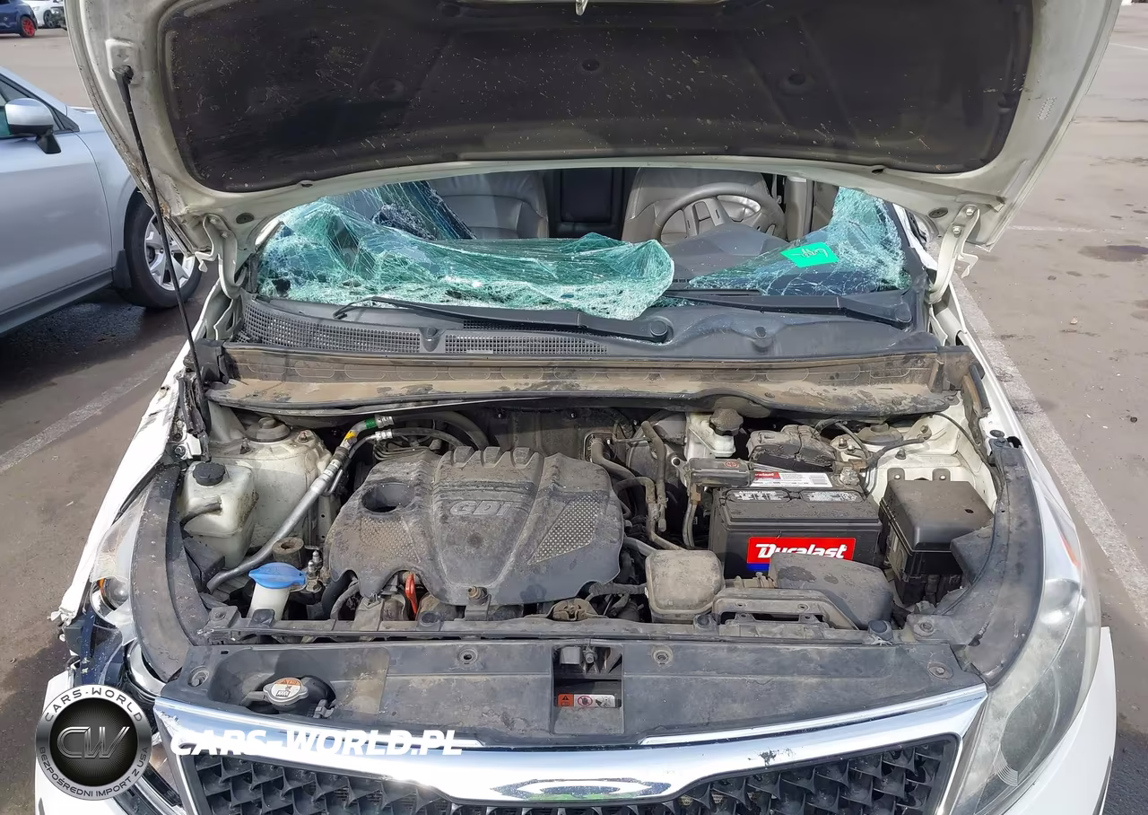 2016 Kia Sportage Ex VIN:KNDPC3AC3G7874649 - 10