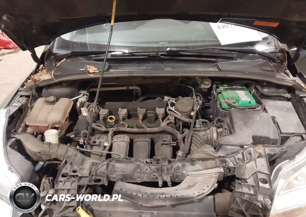 2014 Ford Focus Se VIN:1FADP3F29EL461331 - 10