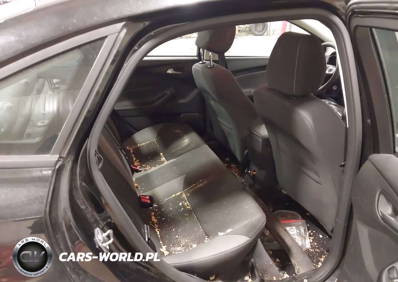2014 Ford Focus Se VIN:1FADP3F29EL461331 - 8