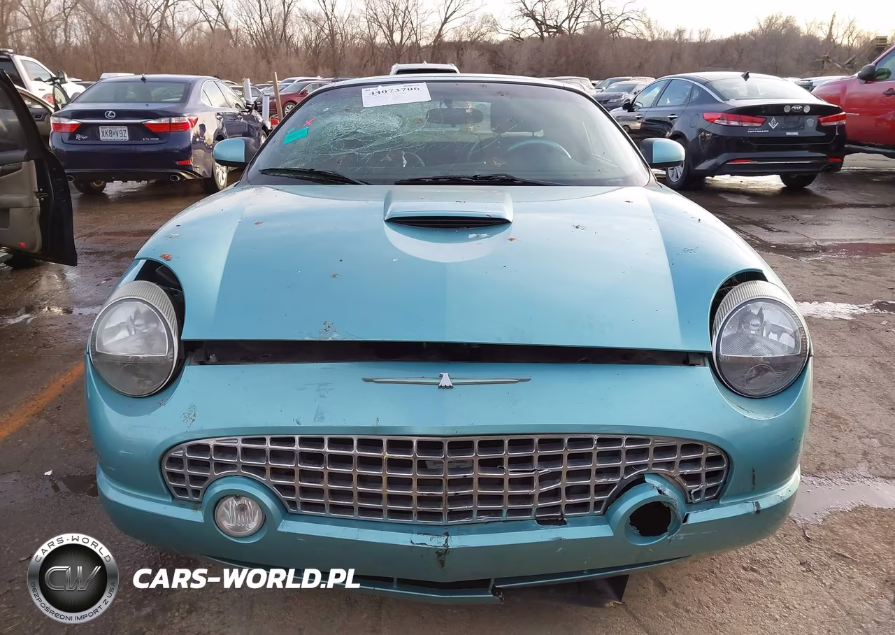 2002 Ford Thunderbird VIN:1FAHP60A42Y114359 - 12