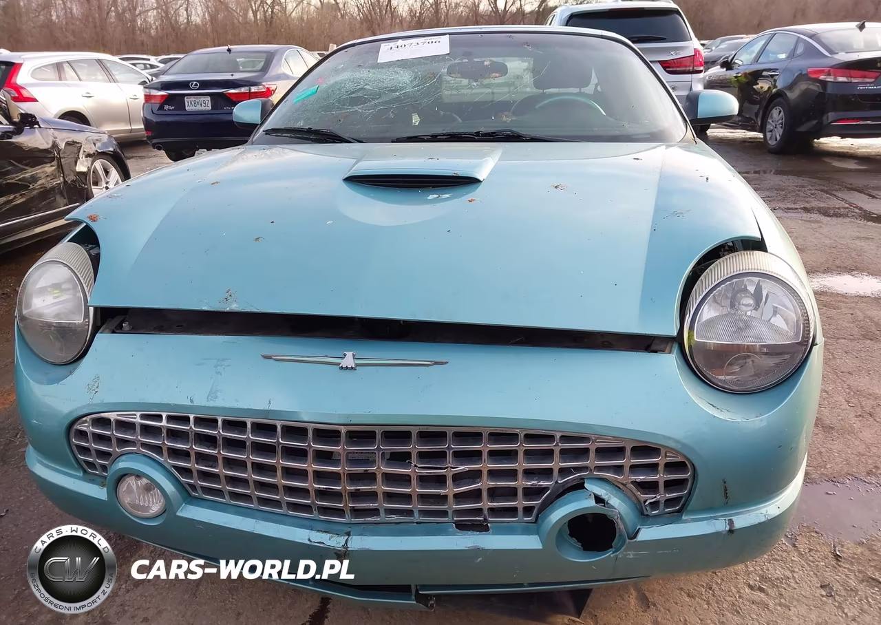 2002 Ford Thunderbird VIN:1FAHP60A42Y114359 - 6