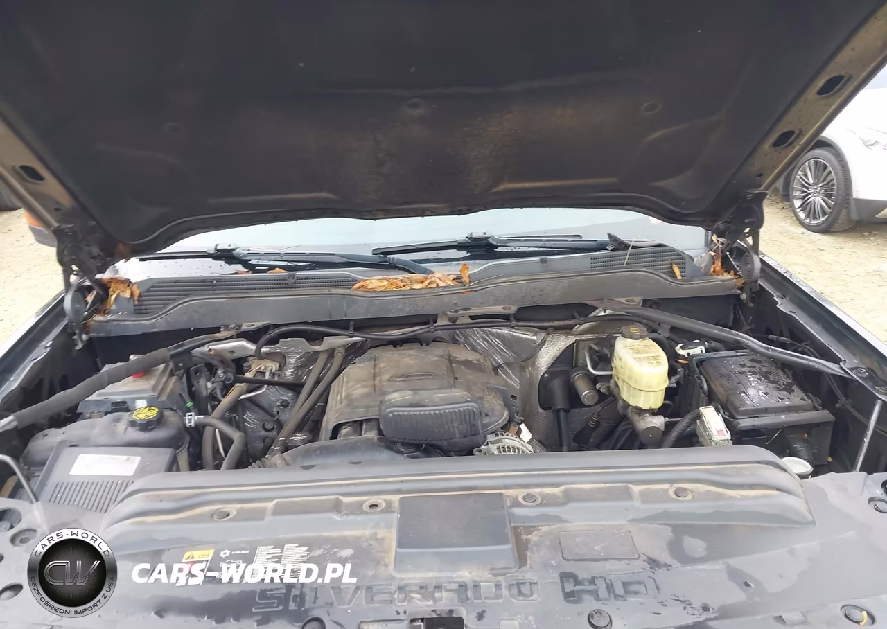 2018 Chevrolet Silverado 2500Hd Lt VIN:1GC2KVEG9JZ317035 - 10