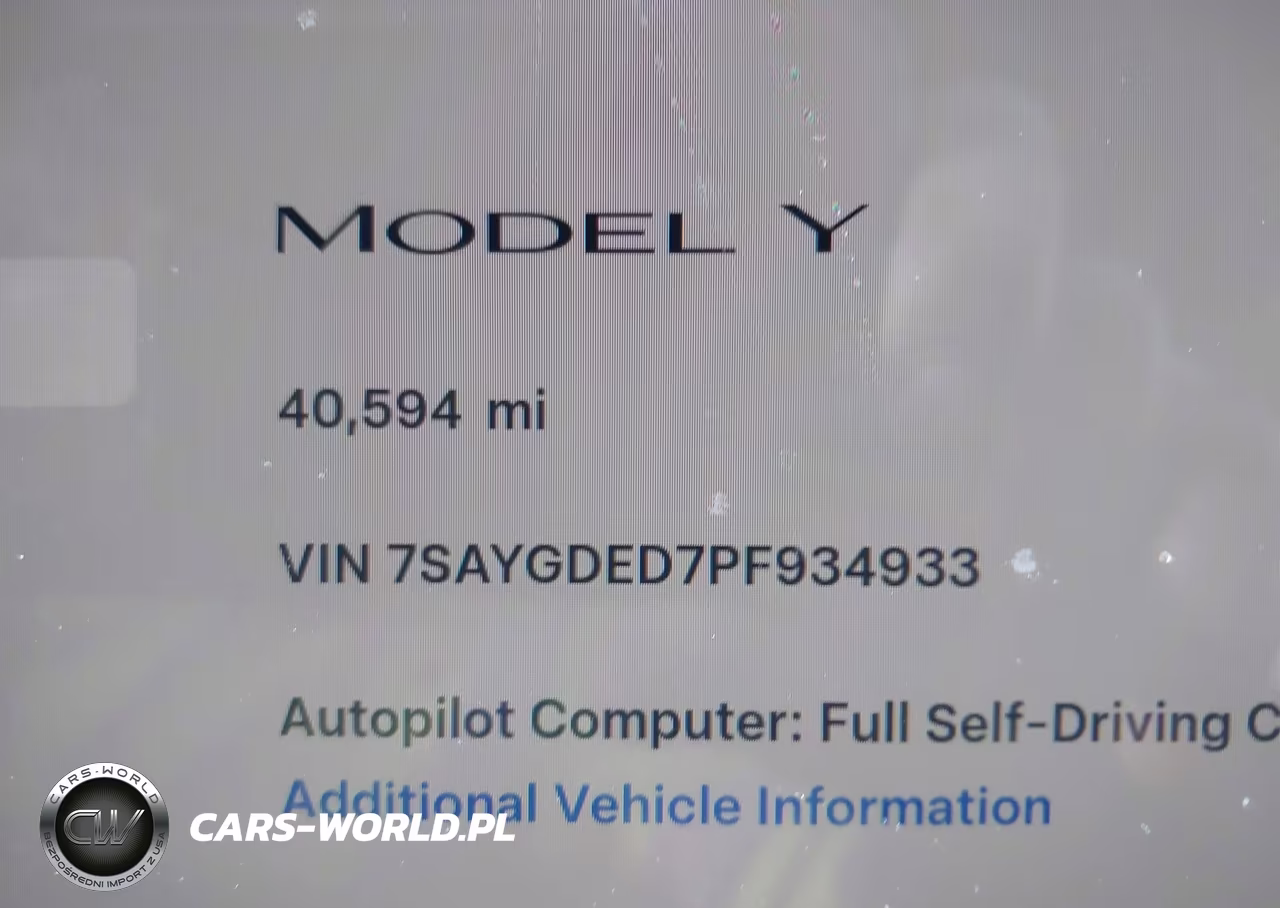 2023 Tesla Model Y Rwd VIN:7SAYGDED7PF934933 - 16