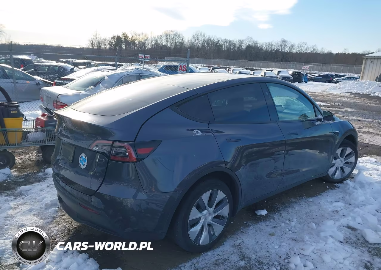 2023 Tesla Model Y Rwd VIN:7SAYGDED7PF934933 - 4