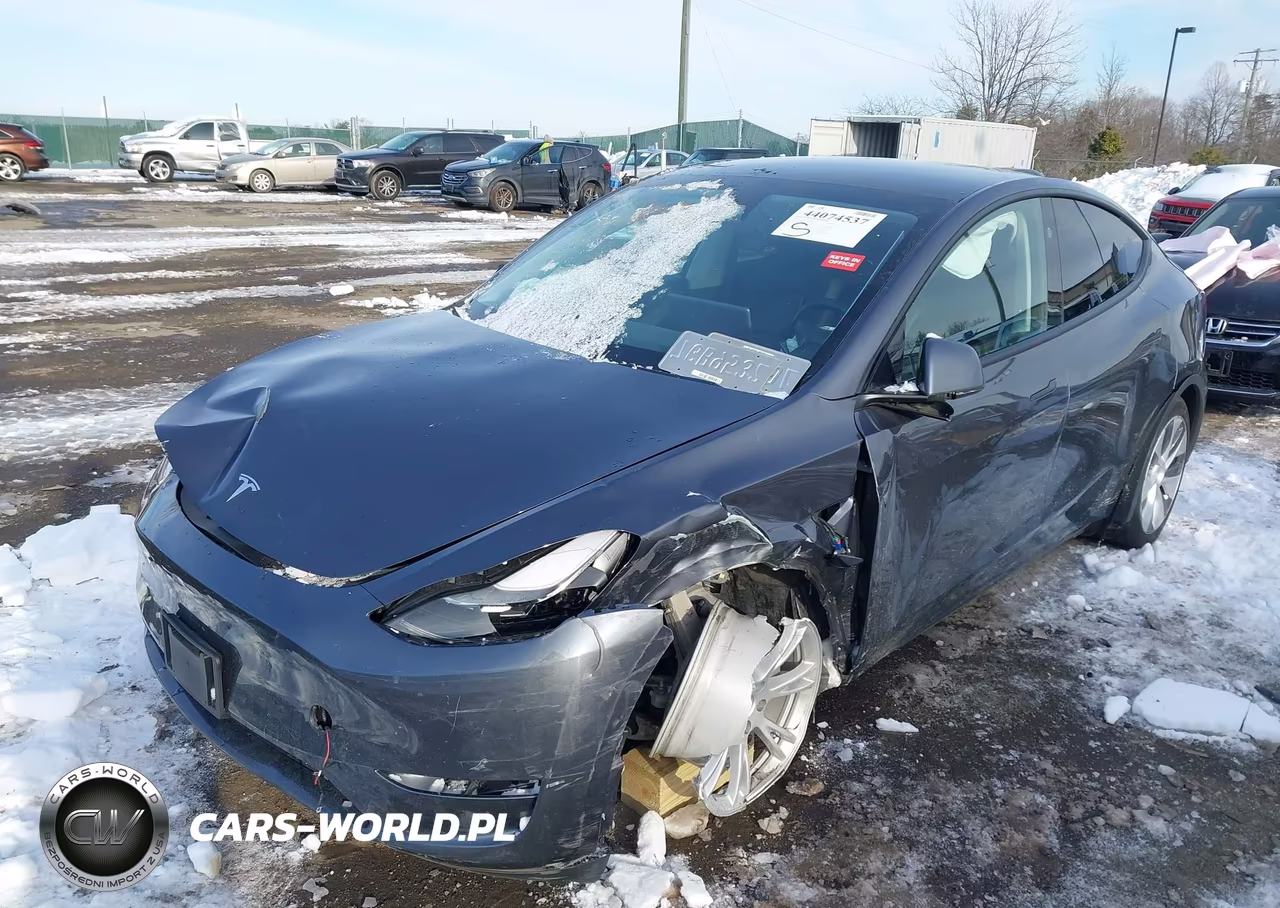 2023 Tesla Model Y Rwd VIN:7SAYGDED7PF934933 - 6