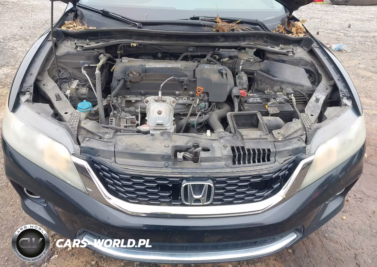 2013 Honda Accord Ex-L VIN:1HGCT1B85DA018699 - 10
