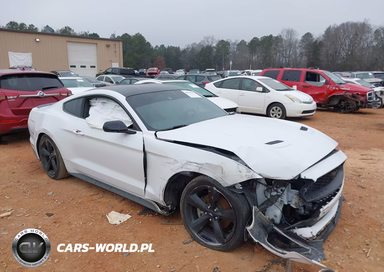 2022 Ford Mustang Ecoboost Fastback – zdjęcie 1 z 16