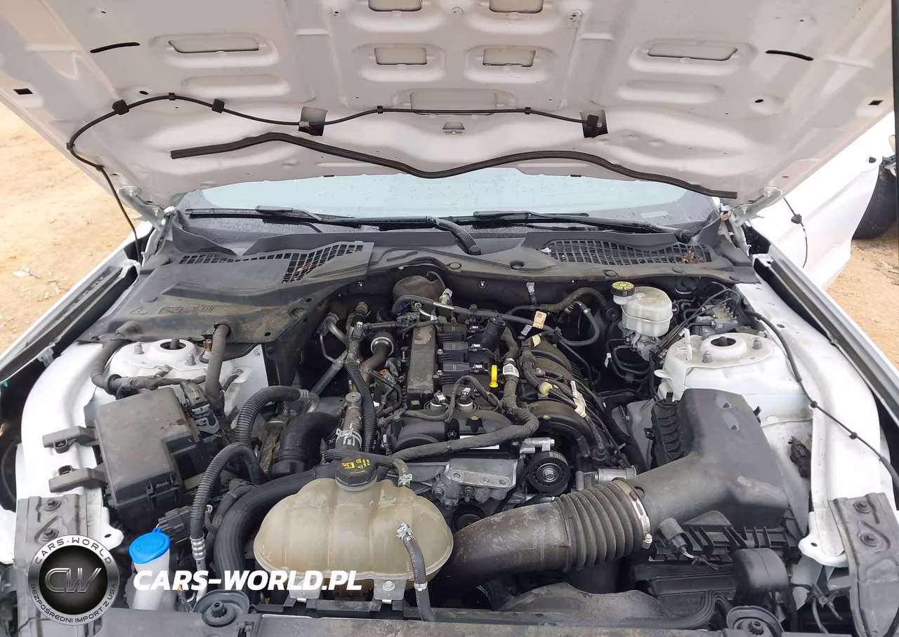 2022 Ford Mustang Ecoboost Fastback VIN:1FA6P8TH4N5147492 - 10