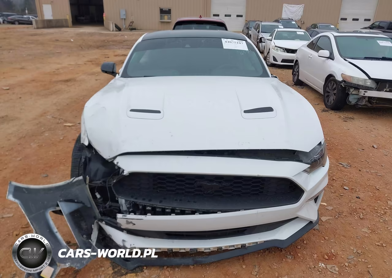 2022 Ford Mustang Ecoboost Fastback VIN:1FA6P8TH4N5147492 - 12