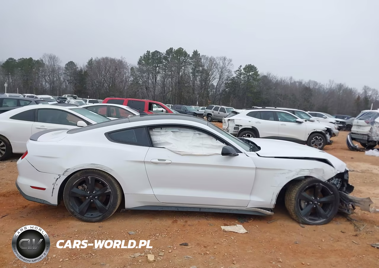 2022 Ford Mustang Ecoboost Fastback VIN:1FA6P8TH4N5147492 - 13