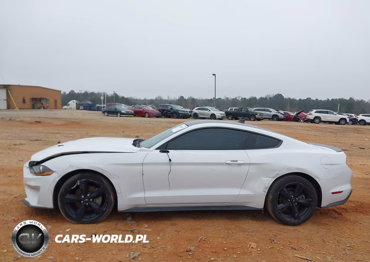 2022 Ford Mustang Ecoboost Fastback VIN:1FA6P8TH4N5147492 - 14