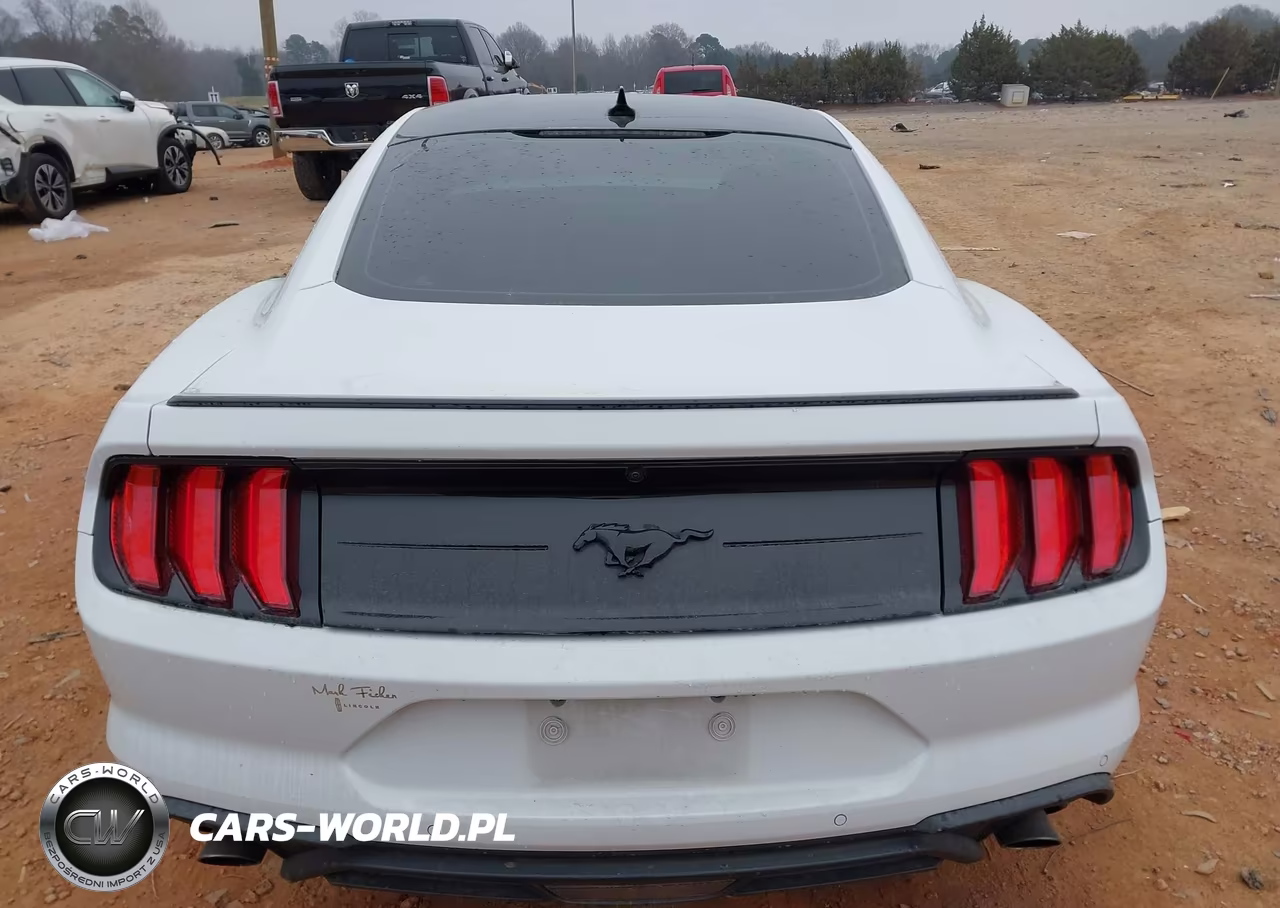 2022 Ford Mustang Ecoboost Fastback VIN:1FA6P8TH4N5147492 - 16
