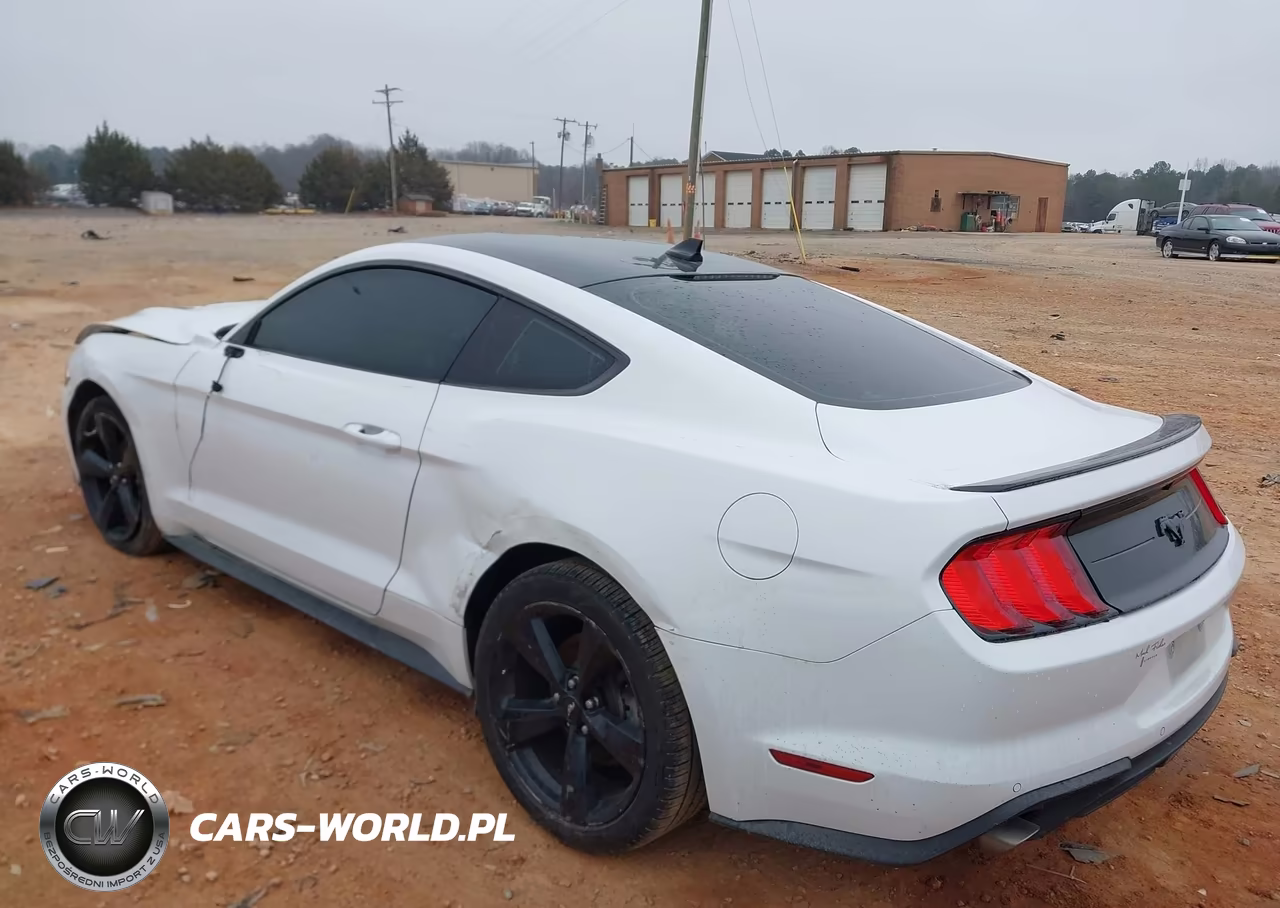 2022 Ford Mustang Ecoboost Fastback VIN:1FA6P8TH4N5147492 - 3