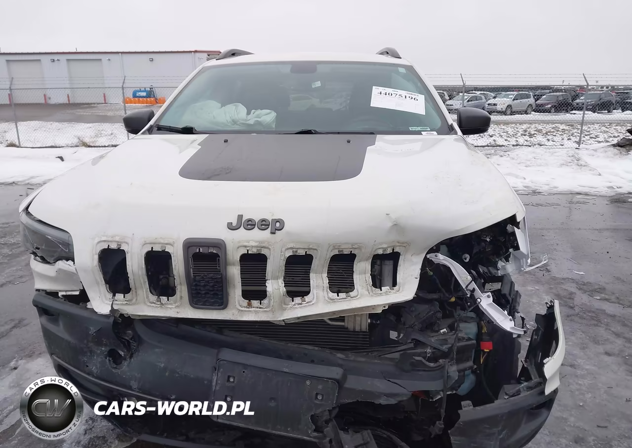 2019 Jeep Cherokee Trailhawk Elite 4X4 VIN:1C4PJMBNXKD246545 - 12