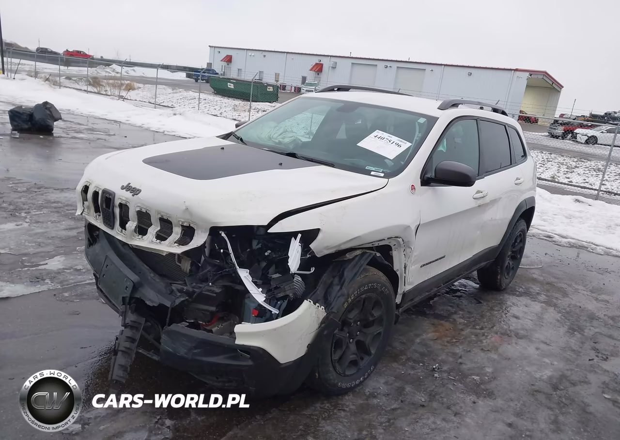 2019 Jeep Cherokee Trailhawk Elite 4X4 VIN:1C4PJMBNXKD246545 - 2