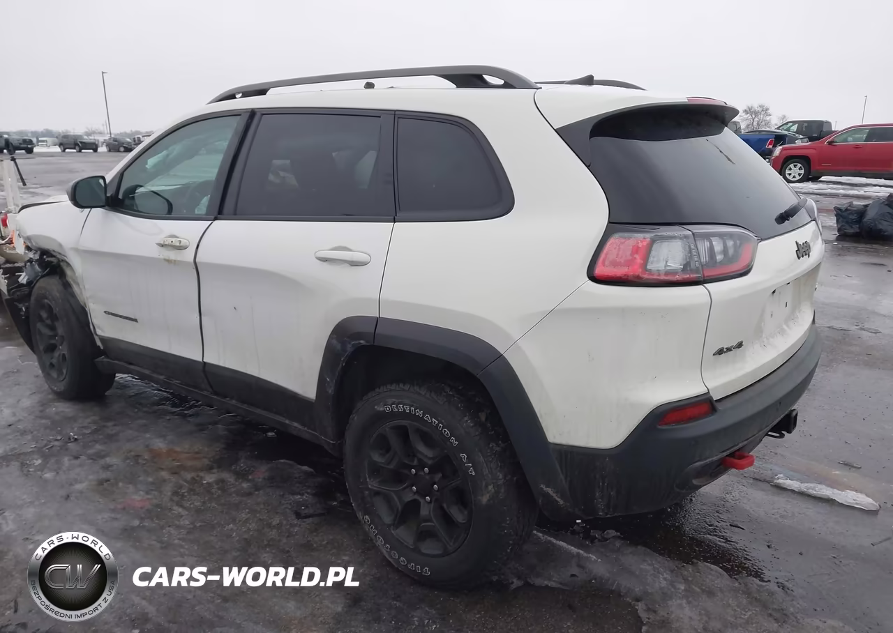 2019 Jeep Cherokee Trailhawk Elite 4X4 VIN:1C4PJMBNXKD246545 - 3