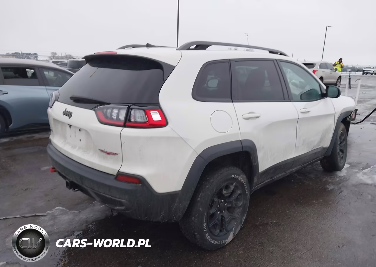 2019 Jeep Cherokee Trailhawk Elite 4X4 VIN:1C4PJMBNXKD246545 - 4